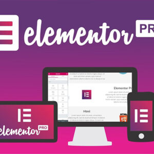 Elementor Pro (Page Builder)