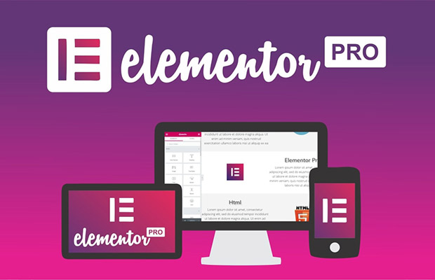 Elementor Pro (Page Builder)