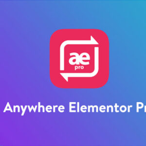 Anywhere Elementor Pro